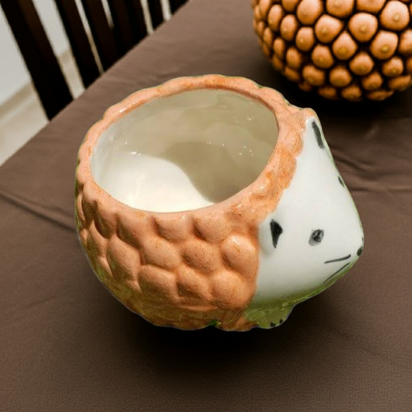 Producto - Maceta Puerco Espin