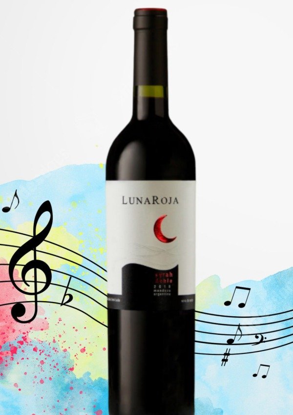 Producto - SYRAH ROBLE RESERVA 2022 PREMIADO EDICIÓN LIMITADA