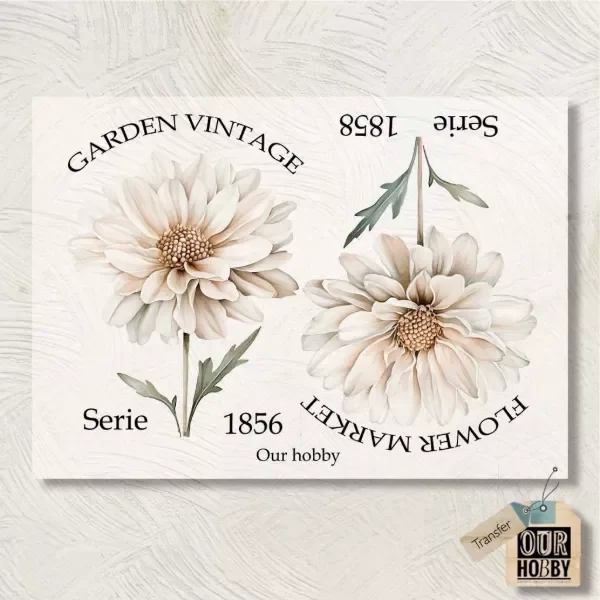 Producto - Transfolex color (plancha) 177