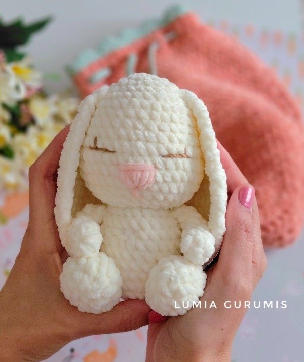Producto - Conejito con su bolsita de zanahoria
