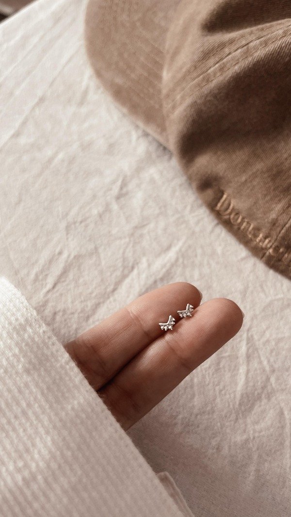 Producto - Aros Remy plata