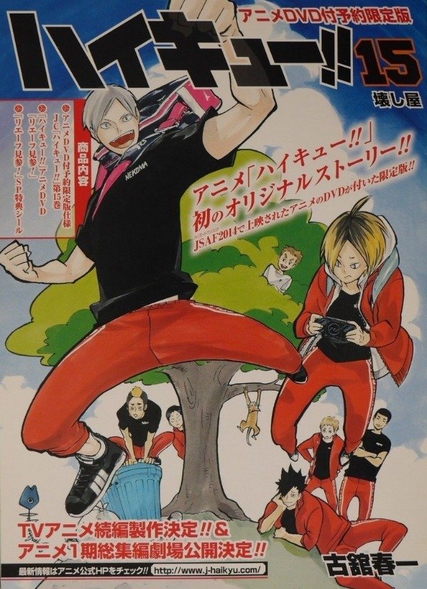 Producto - Haikyuu!! 15 ed especial (Japonés)