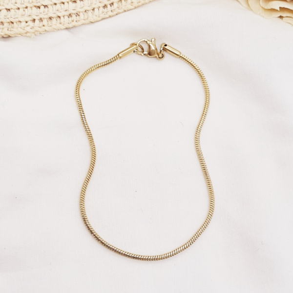 Producto - Pulsera Renatta Aq.