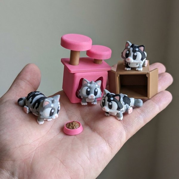 Producto - Set Gato con Accesorios - 1