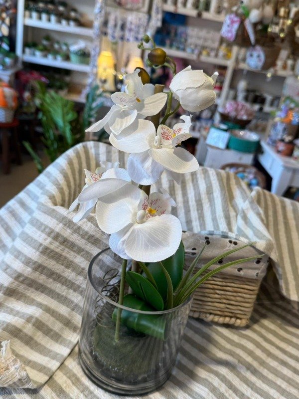 Producto - Planta Orquidea blanca en maceta de vidrio redonda 40 cm (Efectivo: 35.920)