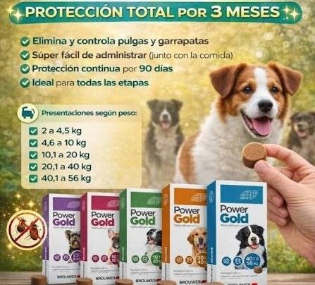 Producto - COMPRIMIDO ANTI PULGAS Y GARRAPATAS POWER GOLD 3 MESES 40 A 56KG - 2