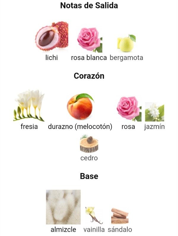 Producto - Reve D'Infini Lalique 10ml - 2
