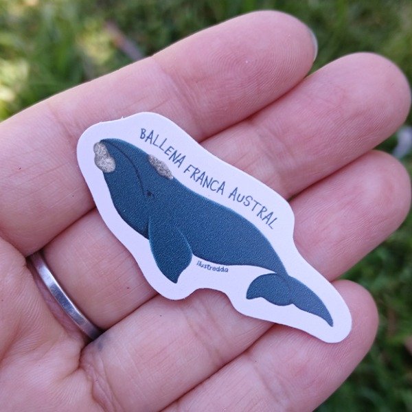 Producto - Sticker - Ballena Franca Austral