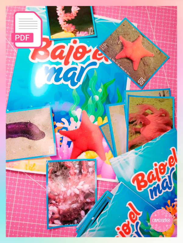 Producto - ÁLBUM PDF BAJO EL MAR CONICET