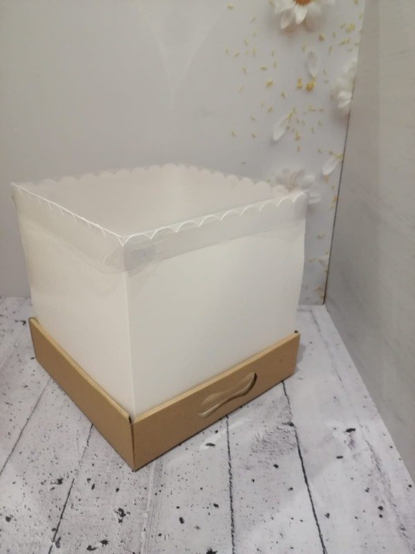 Producto - Caja Drip cake 25x25x25 Tapa acetato