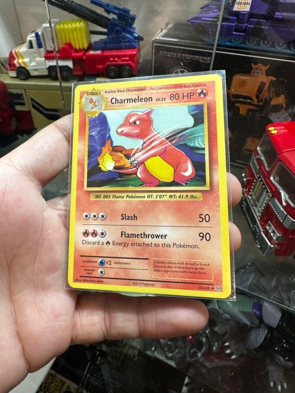 Producto - CHARMELEON