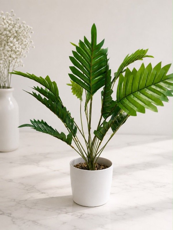 Producto - Palmerita 50 cm