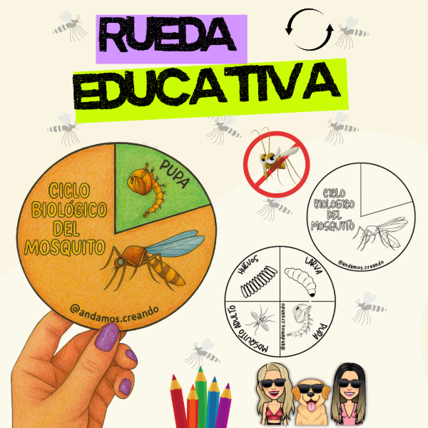 Producto - RULETA EDUCATIVA: EL CICLO BIOLOGICO DEL MOSQUITO