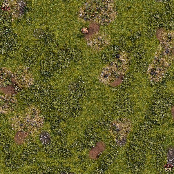 Producto - Bosque 3 XL