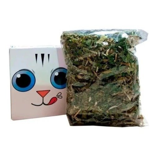 Producto - ZOOTEC CatNip Deshidratado (Hierba Gatera)