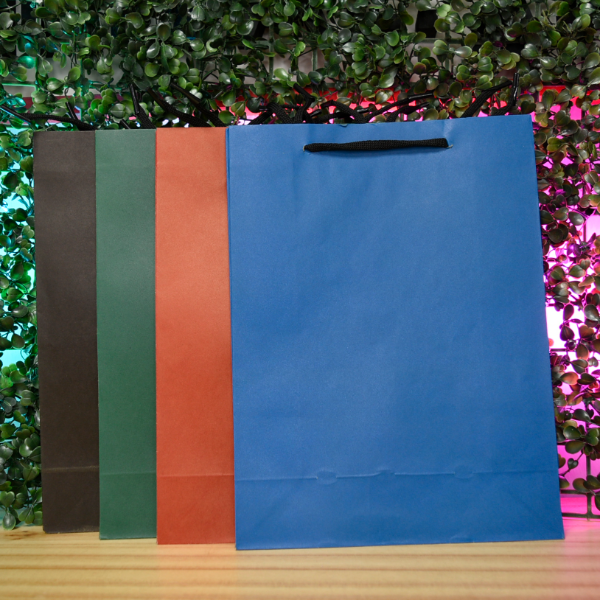 Producto - BOLSA DE REGALO KRAFT COLOR LP-20