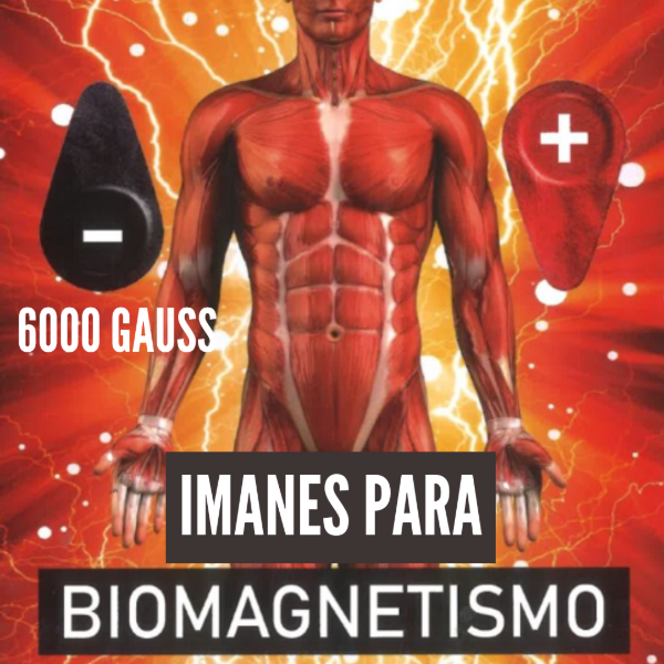 Producto - Par de Imanes de Neodimio para Biomagnetismo 6000 Gauss c/u