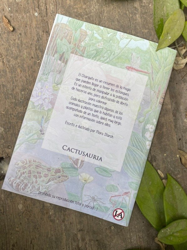 Producto - El Charquito - Librito para colorear - 1
