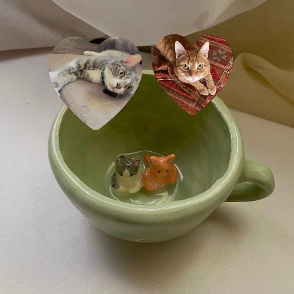 Producto - Taza 2 mascotas