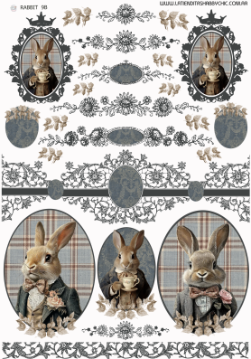 Producto - RABBIT 9B MIXED