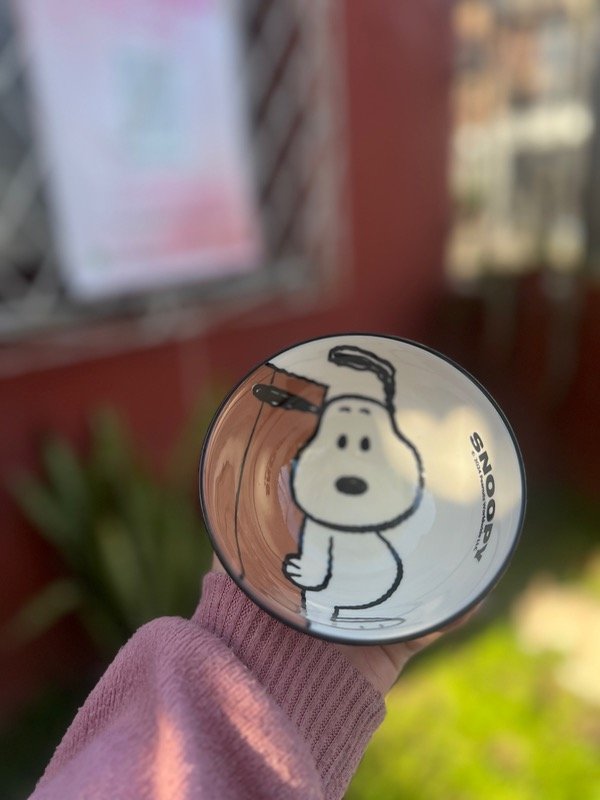 Producto - Bowl snoopy - 1