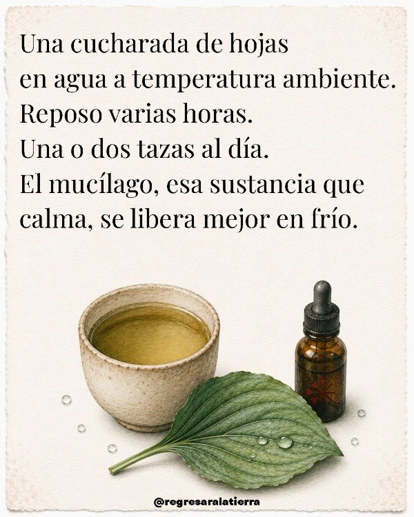 Miniatura de producto - 12
