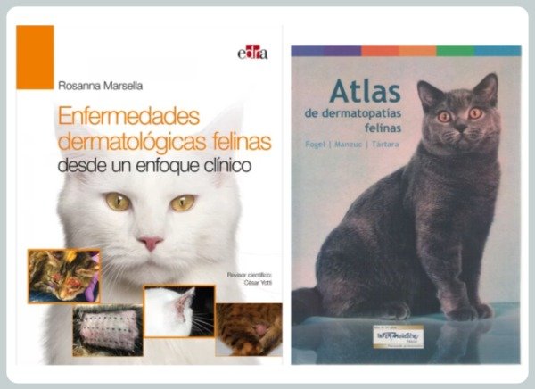 Producto - Enfermedades Dermatológicas + Atlas de Dermatopatías Felinas