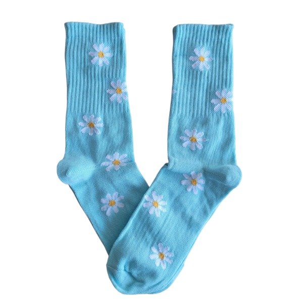 Producto - Margaritas celeste