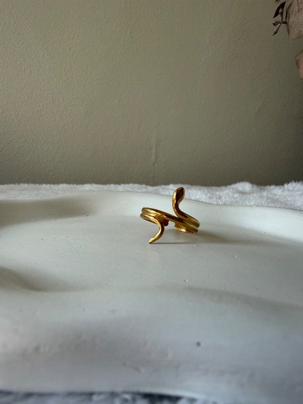 Producto - Anillo snake ad