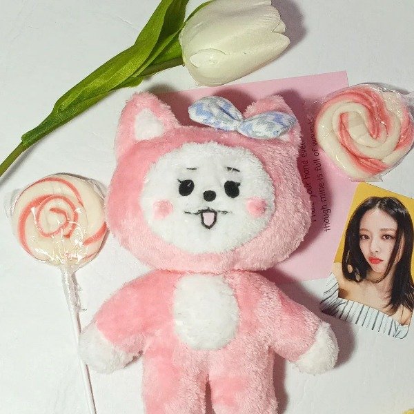 Producto - WDZY Cabbit!