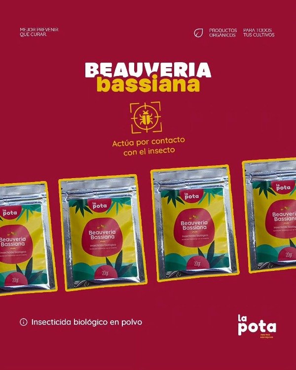 Producto - Bioinsecticida Beauveria Bassiana La Pota x 20 gramos - 3