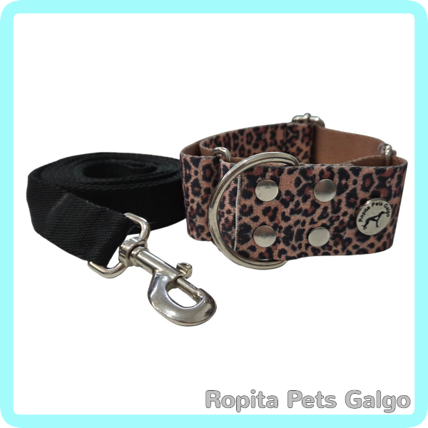 Producto - Conjunto Collar y Correa Susana - 0