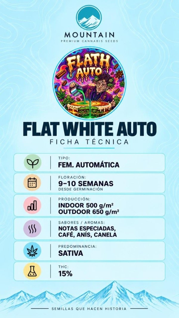 Producto - Flat White Auto (3 unidades) - 1