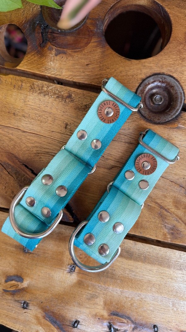 Producto - Collar Martingale Acqua Reforzado