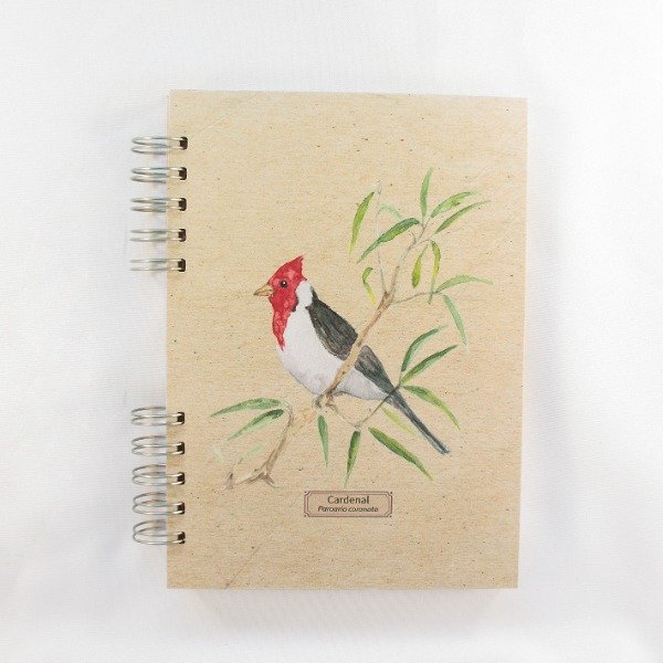 Producto - Cuaderno Anillado A5 Cardenal