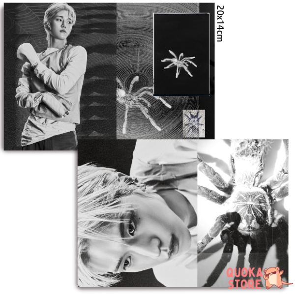 Producto - Set de postales Riwoo - BoyNextDoor 'HOME Concept Photo : WEAVER ver.'