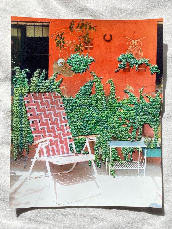 Producto - Fotobordado Helechos