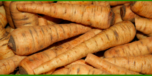 Producto - Chirivía agroecológica x kilo de Amarantus