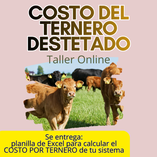 Producto - Taller Online: Costo del Ternero