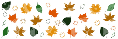 Producto - Otoño