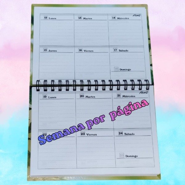 Producto - Secundaria de 12 cursos para Pcia. Bs. As. - 3