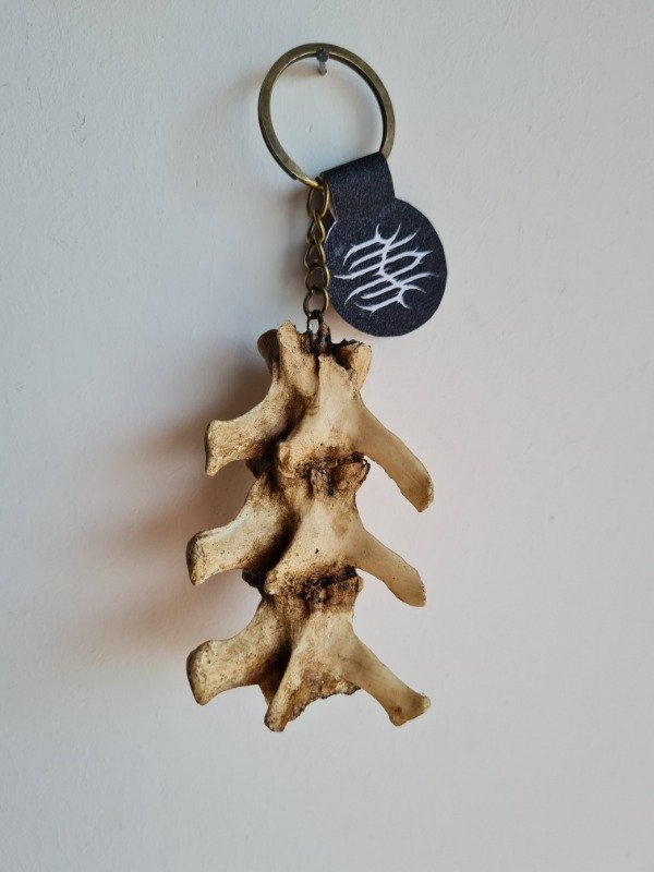 Producto - Llavero Vertebras