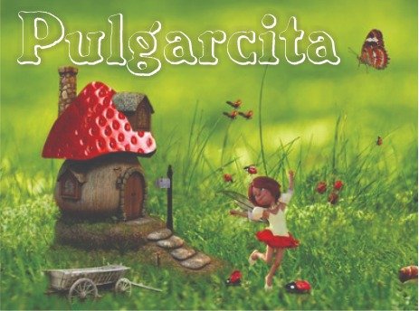 Producto - PULGARCITA