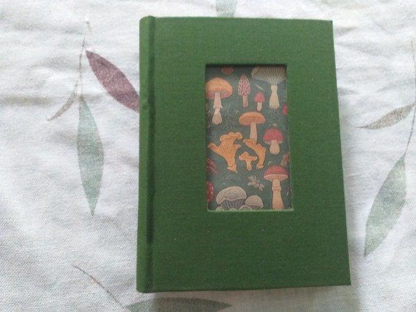 Producto - Verde honguitos