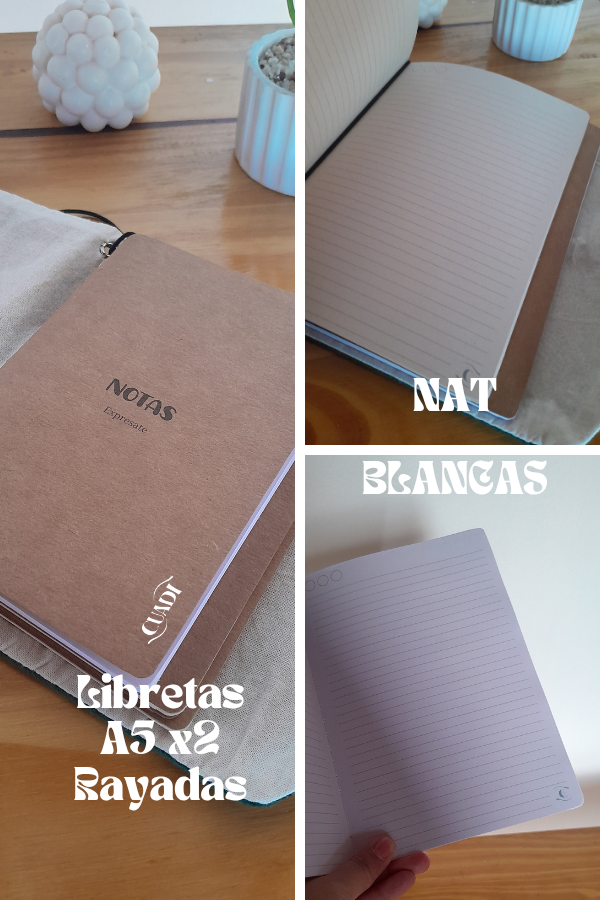 Producto - REPUESTOS POR 2 UNIDADES MIDORI A5