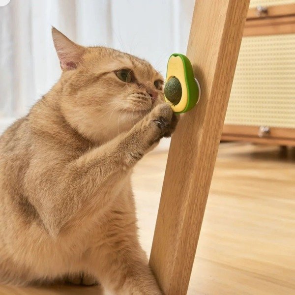 Producto - Catnip x unidad