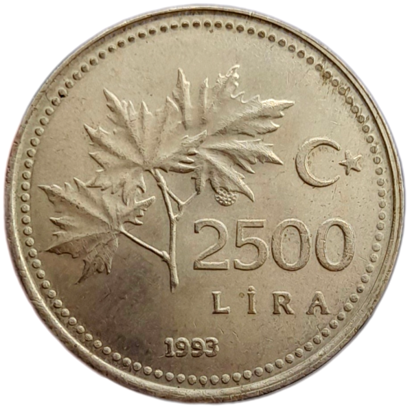 Producto - Turquía 2500 Liras 1993 Hojas de sicomoro Km#1015 XF+