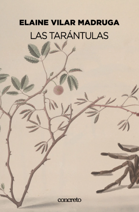 Producto - Las tarántulas - Elain Vilar Madruga - Concreto