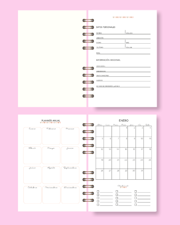 Producto - AGENDA NUTRICIONISTA CON TURNERO - 1