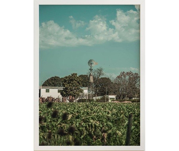 Producto - Molino en el Campo